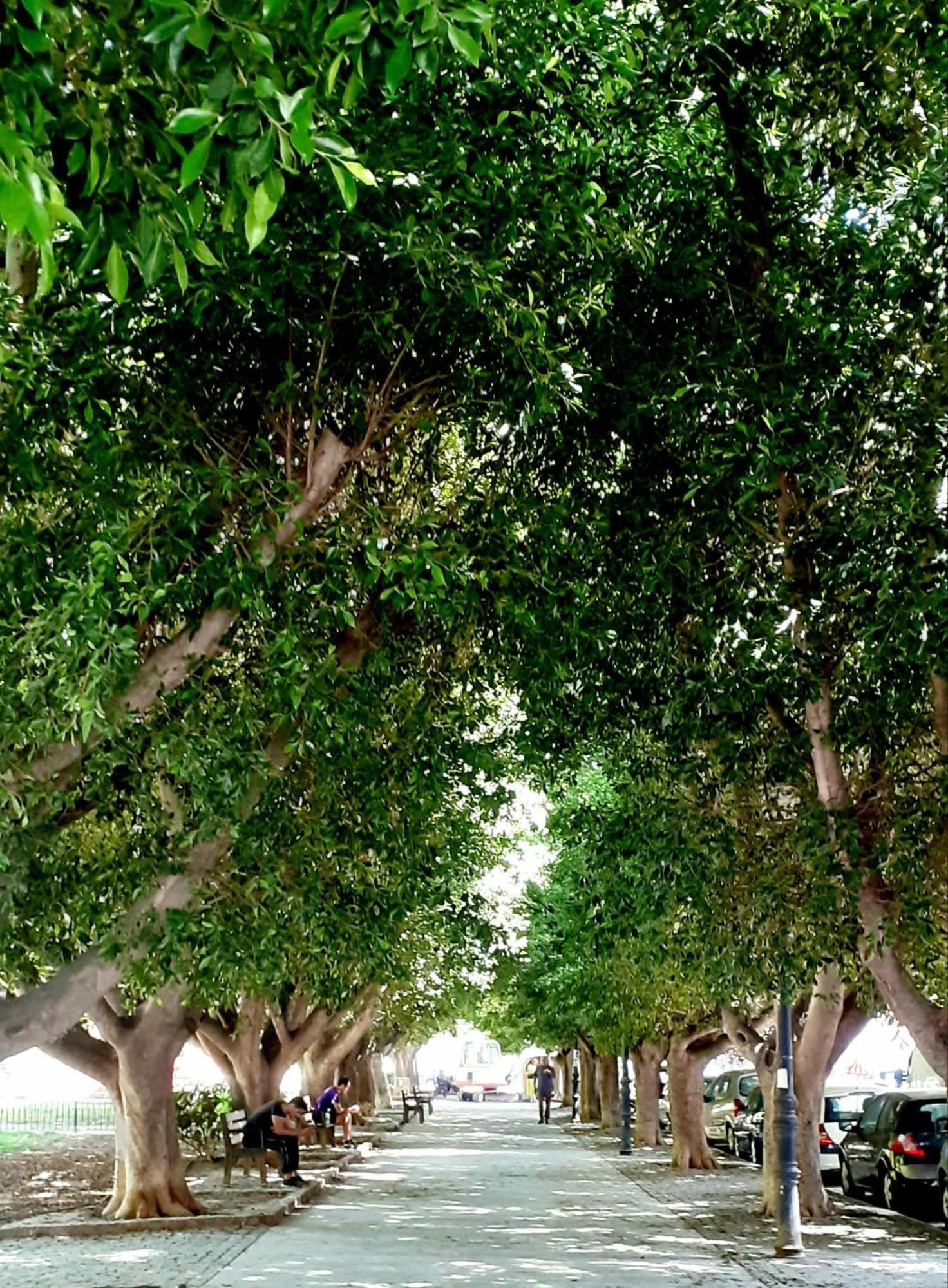 Yard Patraix By Concept Flats Hotel Valencia Luaran gambar